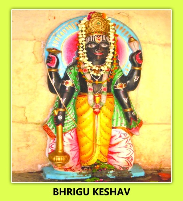 Bhrigu Keshav